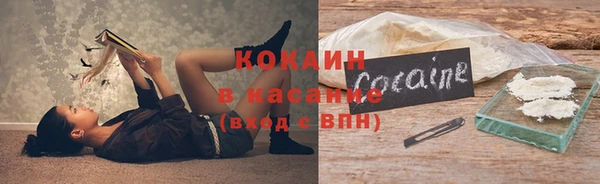 твердый Алексин