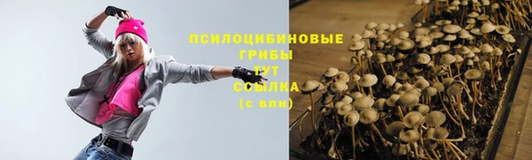 твердый Алексин
