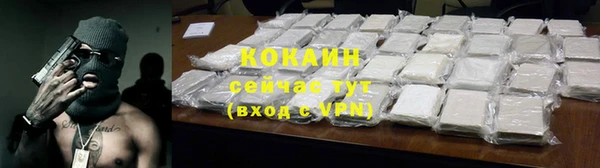 твердый Алексин