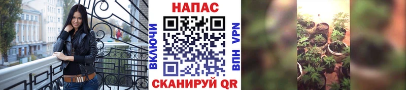 Конопля SATIVA & INDICA  Купить  Большой Камень 